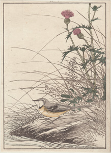 original Imao Keinen Japanese woodblock print birds and flowers 1885